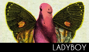 ladyboydecouverte